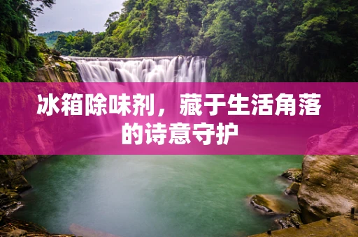 冰箱除味剂，藏于生活角落的诗意守护
