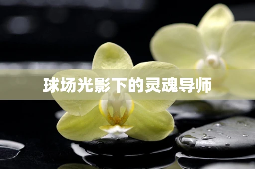 球场光影下的灵魂导师