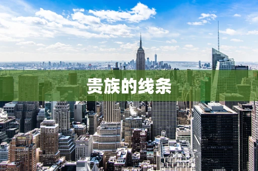 贵族的线条