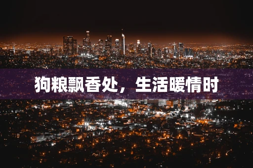 狗粮飘香处，生活暖情时
