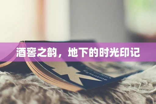酒窖之韵，地下的时光印记