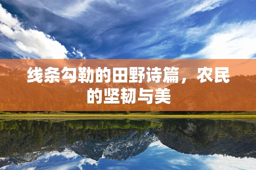 线条勾勒的田野诗篇，农民的坚韧与美