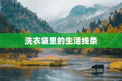 洗衣袋里的生活线条