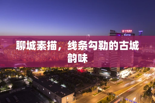 聊城素描，线条勾勒的古城韵味