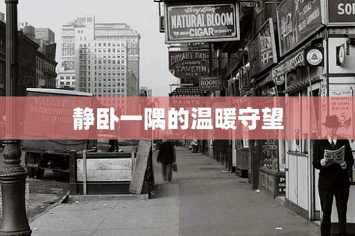 静卧一隅的温暖守望