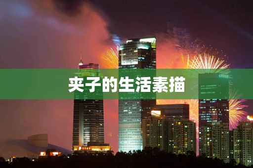 夹子的生活素描
