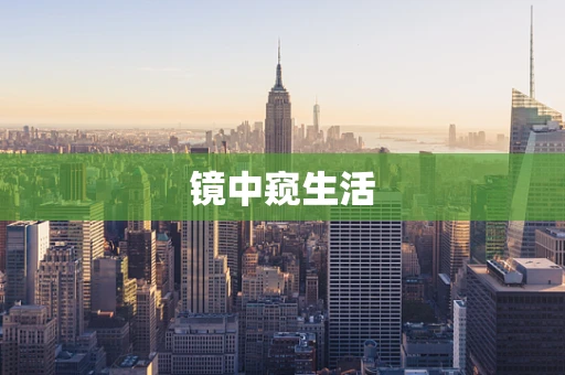 镜中窥生活