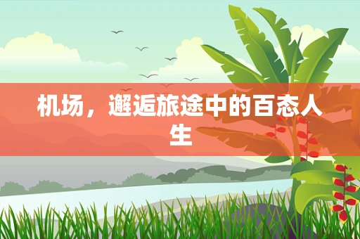 机场，邂逅旅途中的百态人生