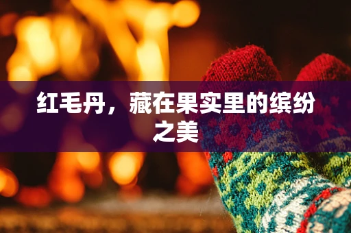 红毛丹，藏在果实里的缤纷之美