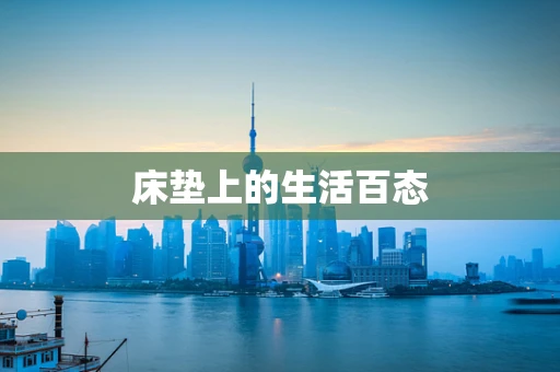 床垫上的生活百态