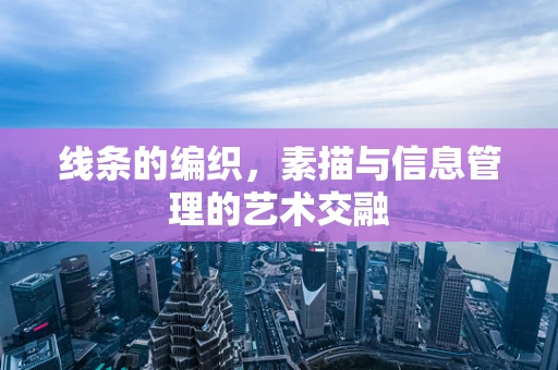 线条的编织，素描与信息管理的艺术交融