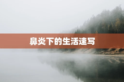 鼻炎下的生活速写