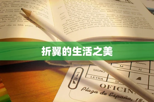 折翼的生活之美
