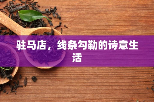 驻马店，线条勾勒的诗意生活