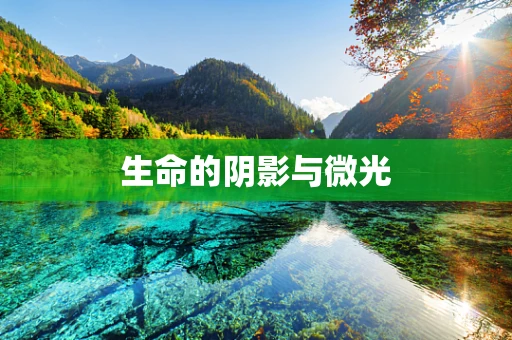 生命的阴影与微光