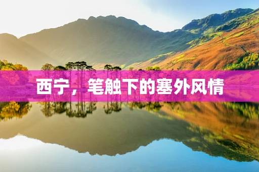 西宁，笔触下的塞外风情