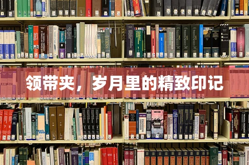 领带夹，岁月里的精致印记