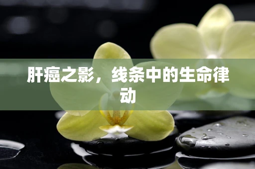 肝癌之影，线条中的生命律动