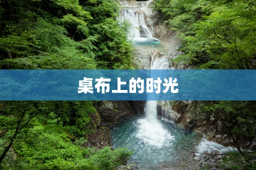 桌布上的时光