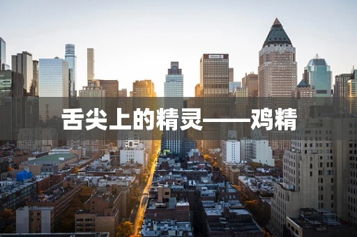 舌尖上的精灵——鸡精