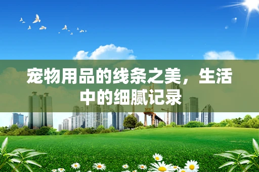 宠物用品的线条之美，生活中的细腻记录