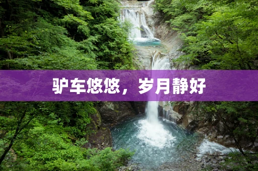 驴车悠悠，岁月静好