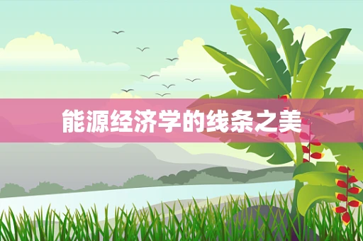 能源经济学的线条之美