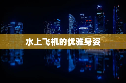 水上飞机的优雅身姿