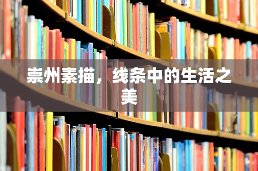 崇州素描，线条中的生活之美