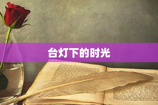台灯下的时光