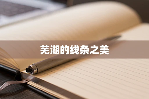 芜湖的线条之美