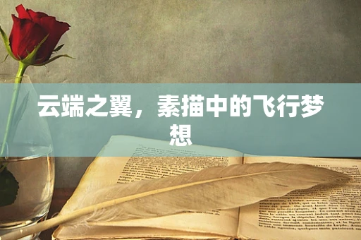 云端之翼，素描中的飞行梦想