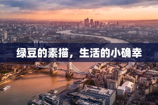绿豆的素描，生活的小确幸