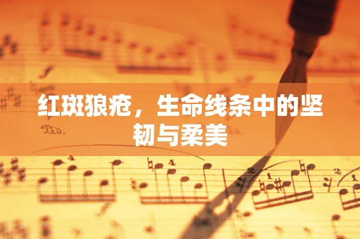 红斑狼疮，生命线条中的坚韧与柔美