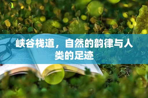 峡谷栈道，自然的韵律与人类的足迹