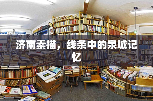 济南素描，线条中的泉城记忆