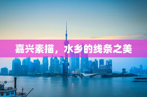 嘉兴素描，水乡的线条之美