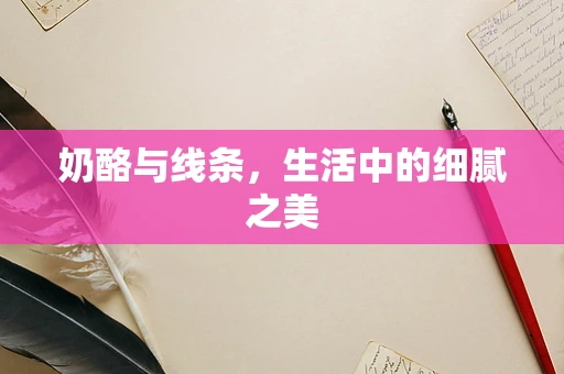 奶酪与线条，生活中的细腻之美