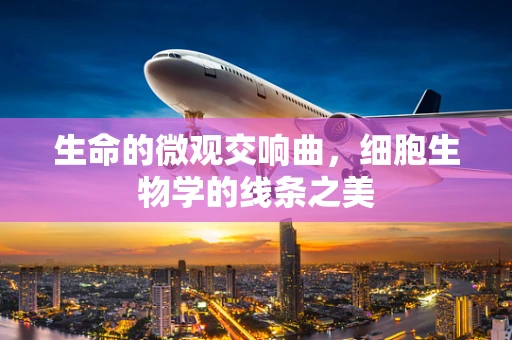 生命的微观交响曲，细胞生物学的线条之美