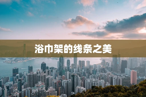 浴巾架的线条之美