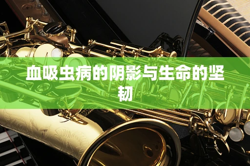 血吸虫病的阴影与生命的坚韧