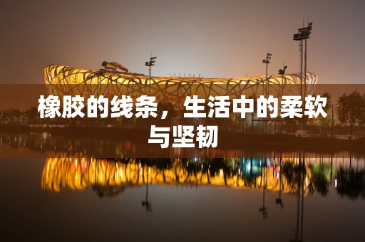 橡胶的线条，生活中的柔软与坚韧
