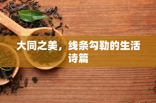 大同之美，线条勾勒的生活诗篇