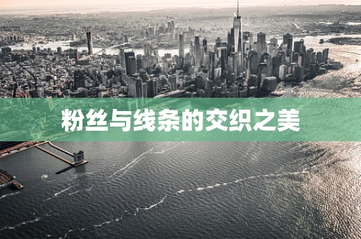 粉丝与线条的交织之美