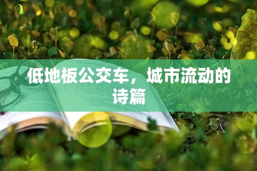 低地板公交车，城市流动的诗篇
