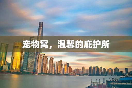 宠物窝，温馨的庇护所