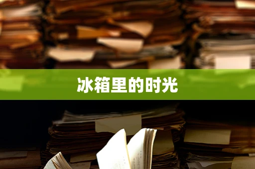 冰箱里的时光