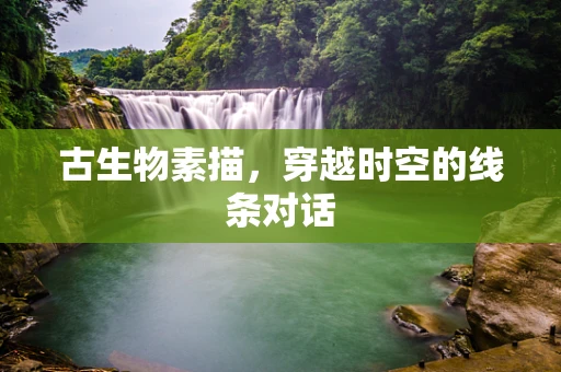 古生物素描，穿越时空的线条对话