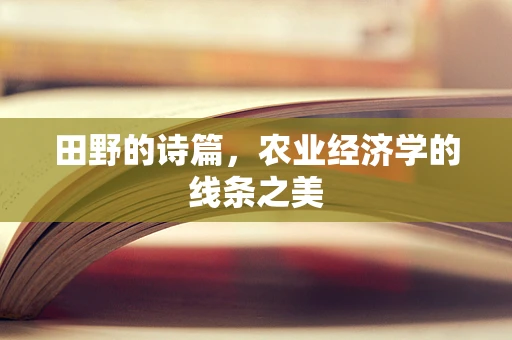 田野的诗篇，农业经济学的线条之美