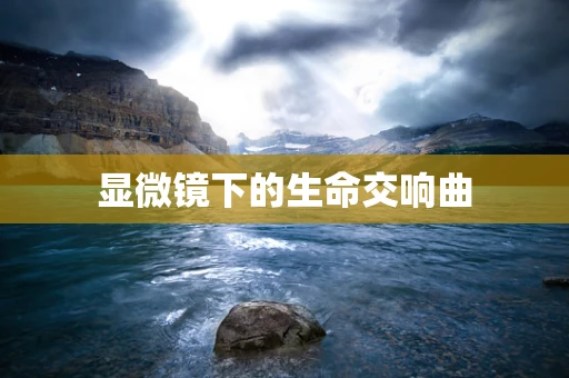 显微镜下的生命交响曲